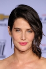 Cobie Smulders Film ve Dizileri