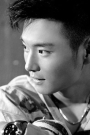 Zhao Hongfei Film ve Dizileri