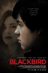 Blackbird - Karakuş