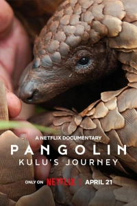 Pangolin: Kulu'nun Yolculuğu