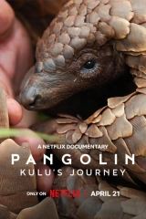 Pangolin: Kulu'nun Yolculuğu