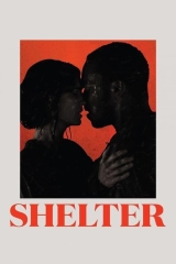 Shelter - Barınak