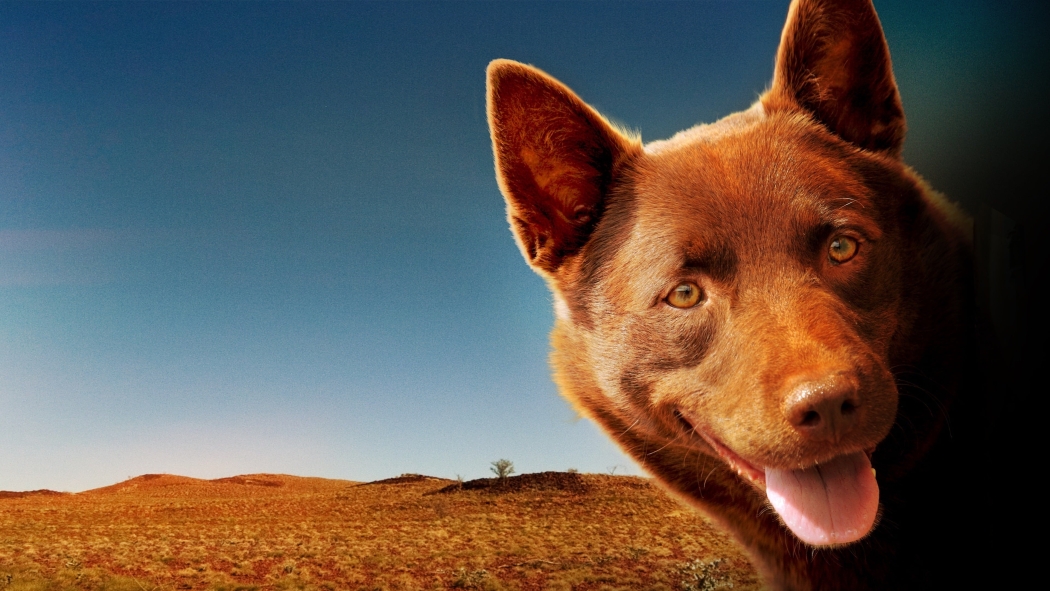 Kırmızı Köpek izle