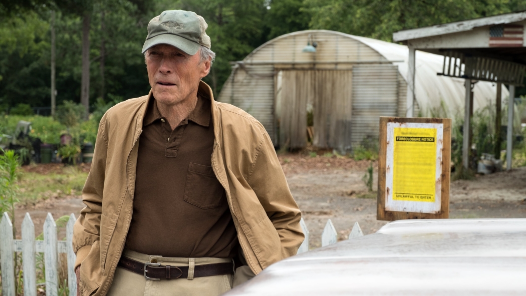 The Mule - Kaçakçı izle